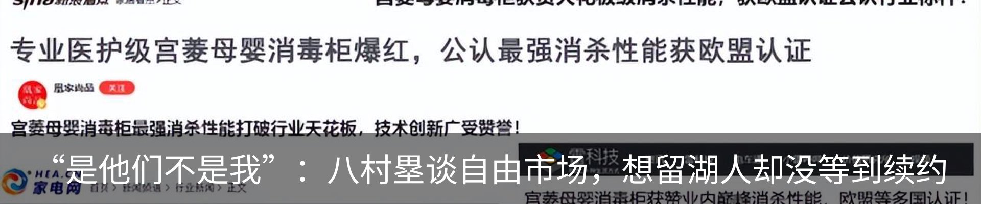 新闻动态