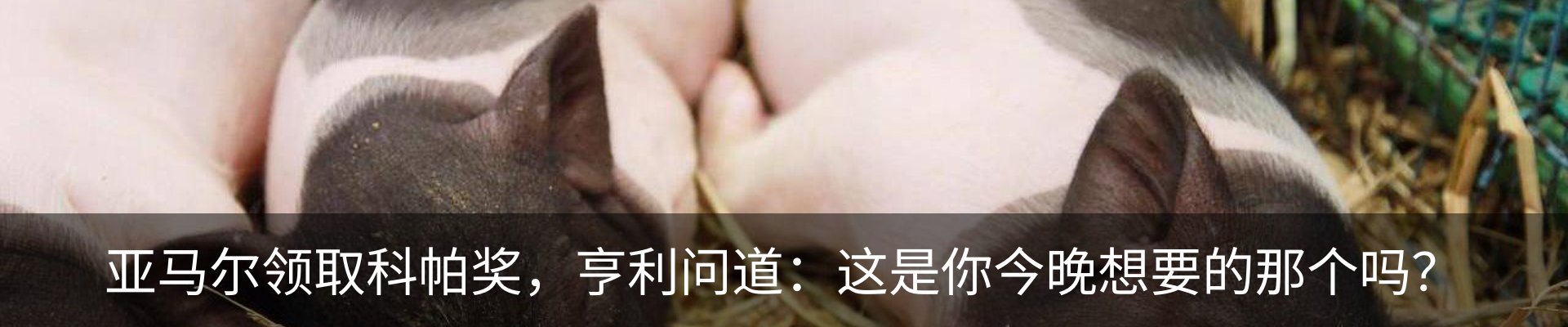 新闻动态