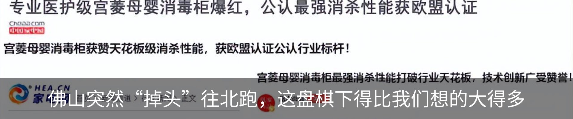 新闻动态