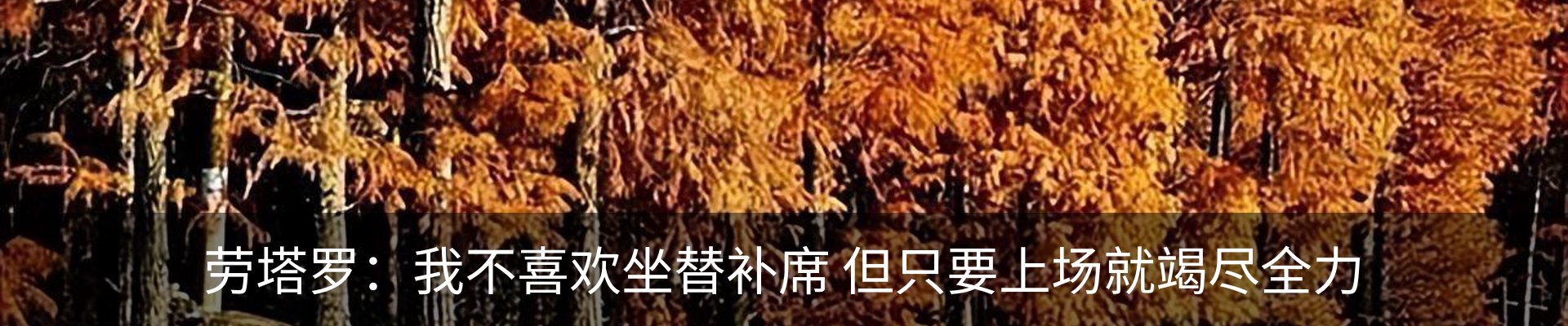 新闻动态