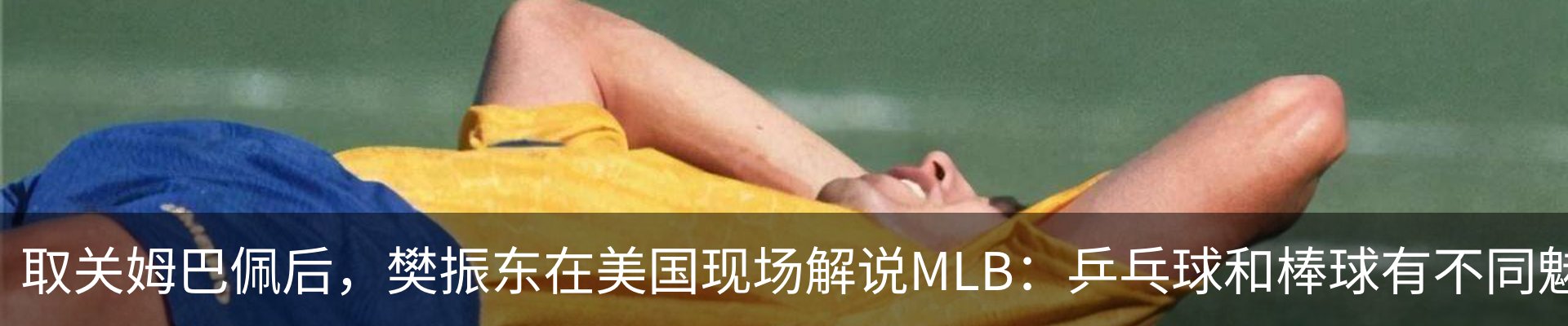 新闻动态