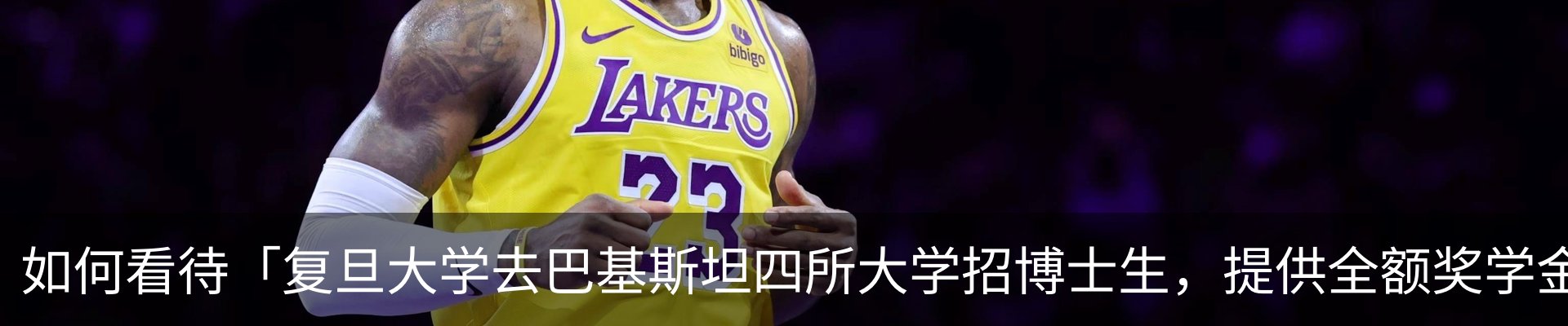 新闻动态