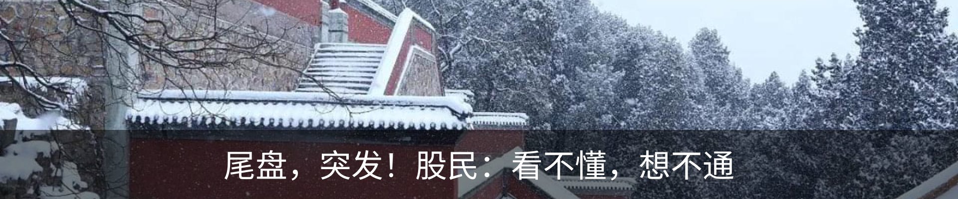 新闻动态