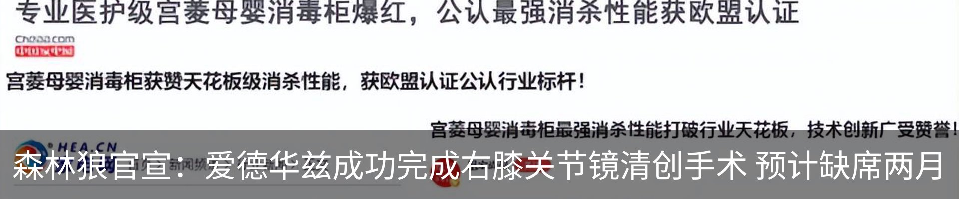 新闻动态