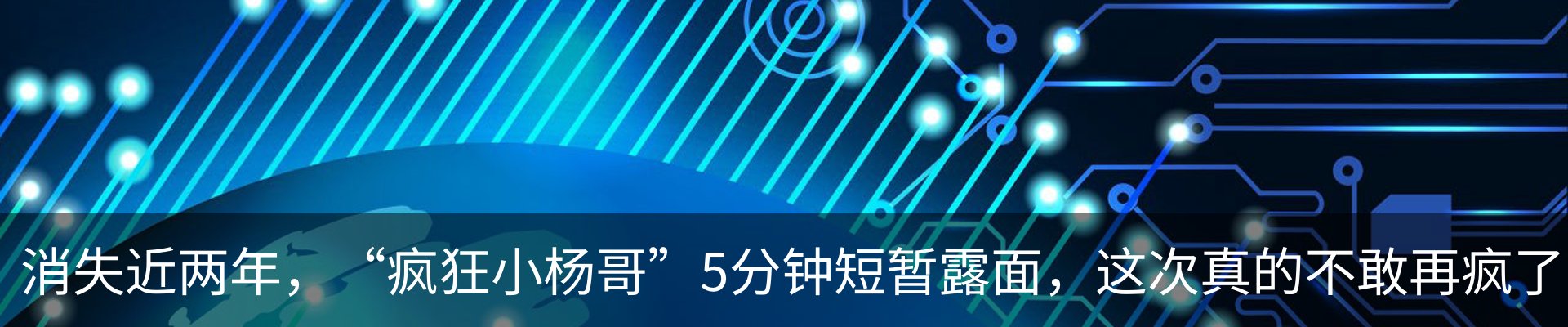 新闻动态