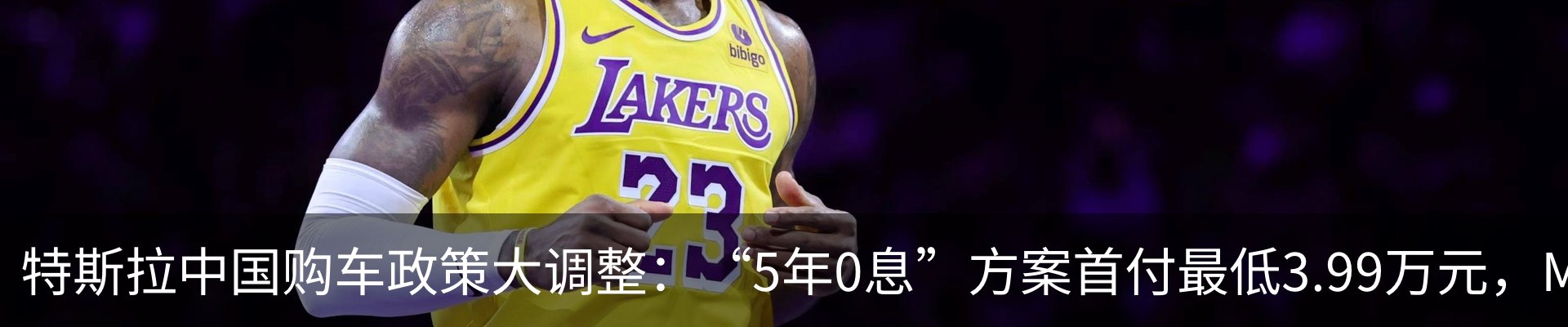 新闻动态