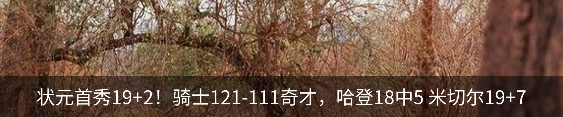 新闻动态