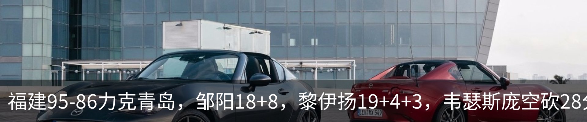 新闻动态