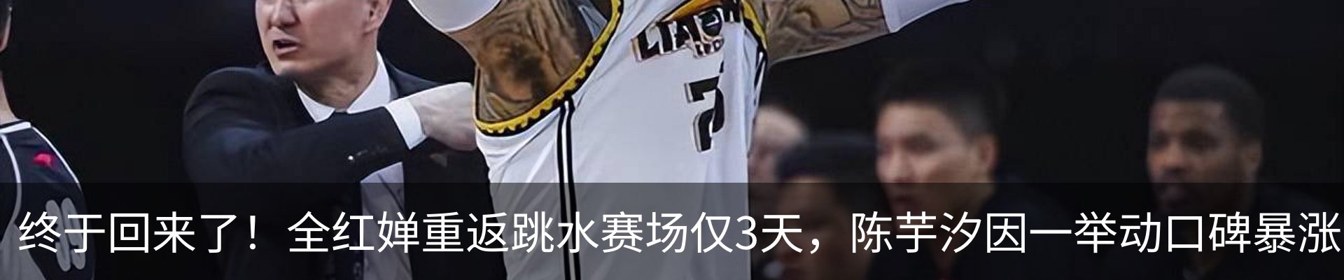 新闻动态