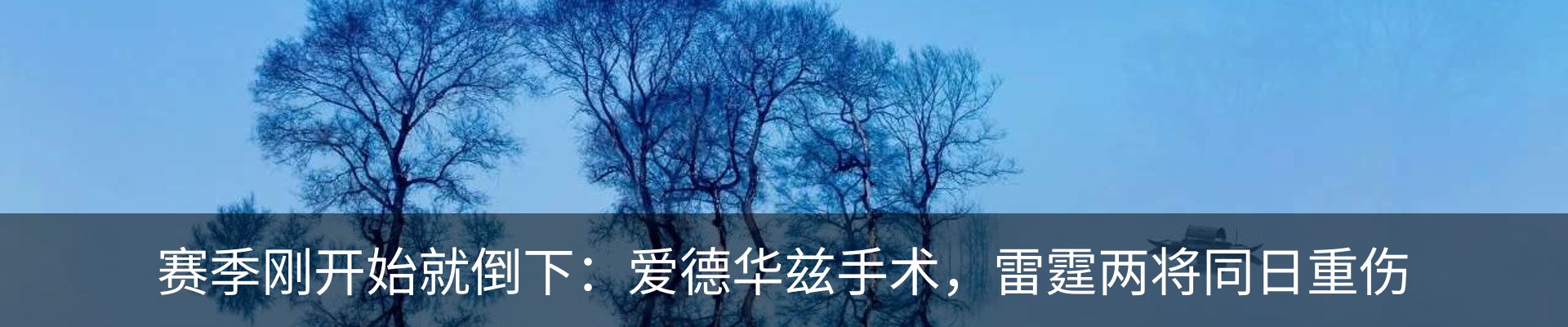 新闻动态