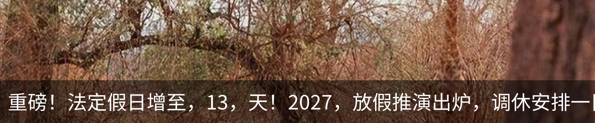 新闻动态