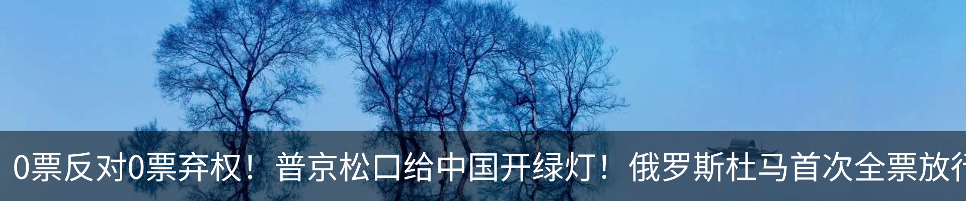 新闻动态