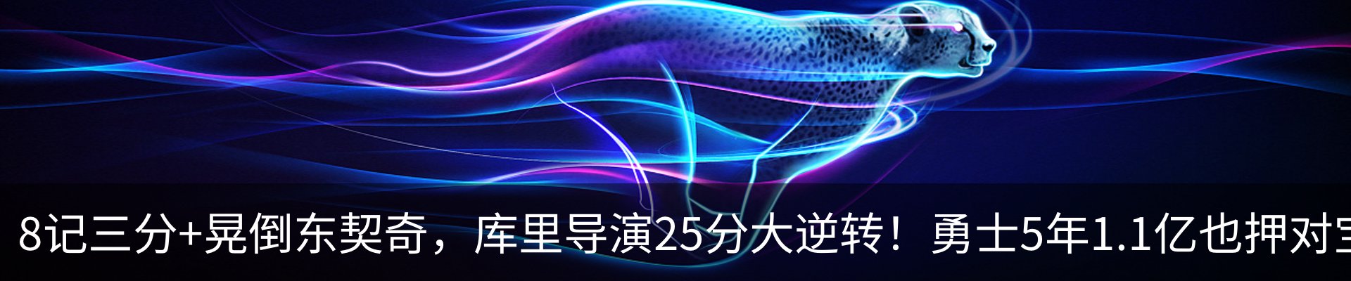 新闻动态