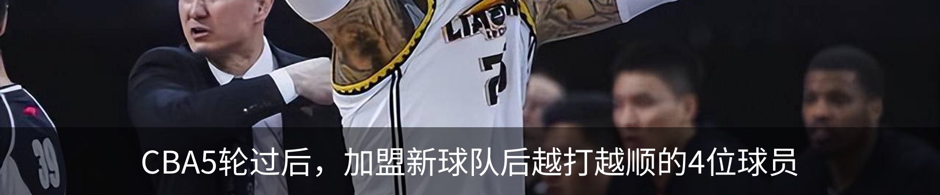 新闻动态